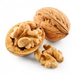 Noci