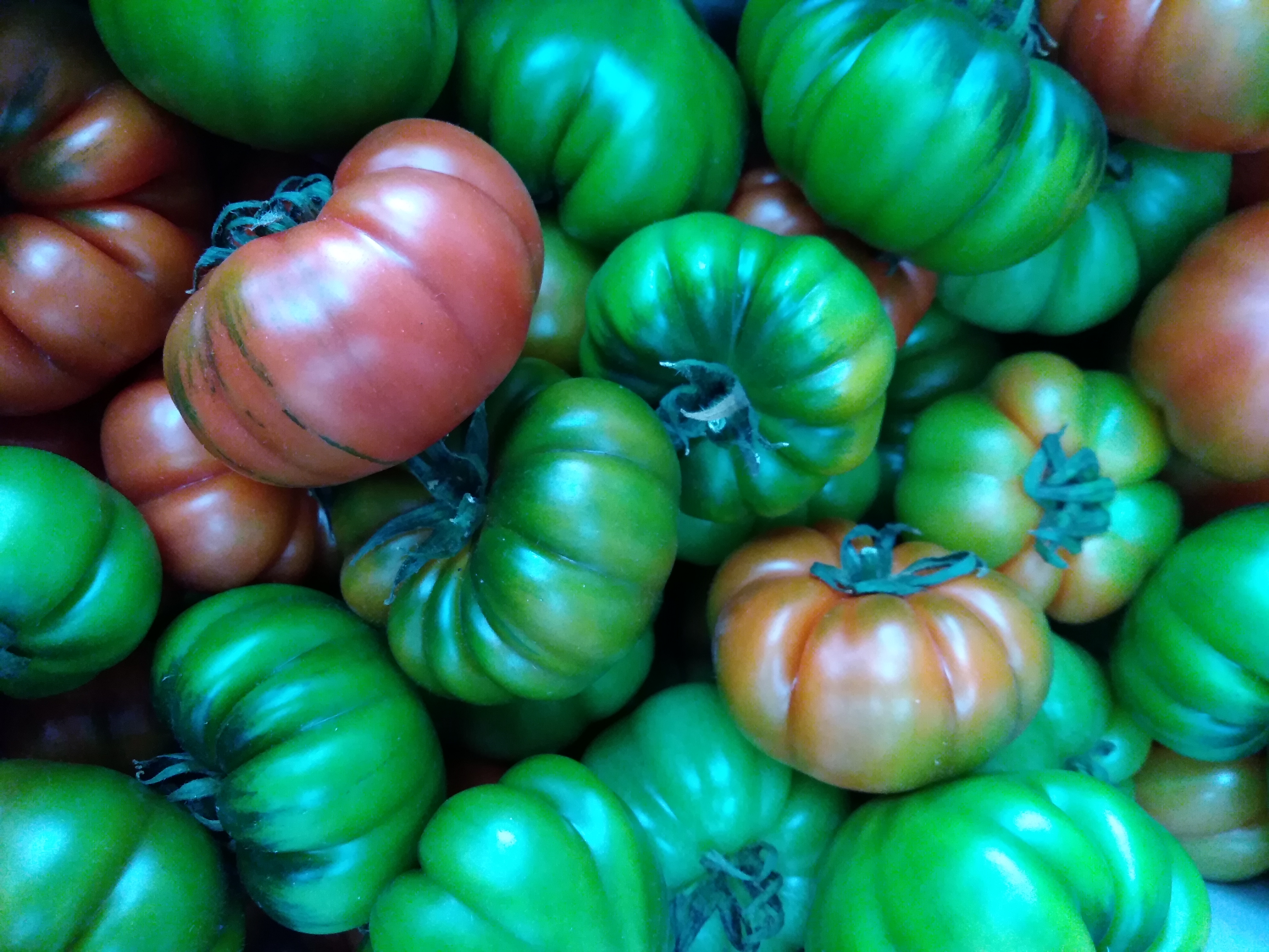 Pomodoro merinda