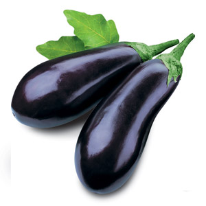 Melanzane italia