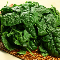 Spinaci italia