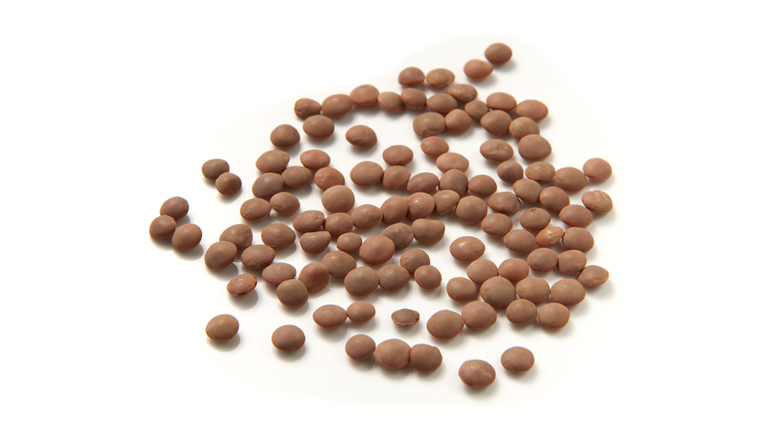 Lenticchie Grandi
