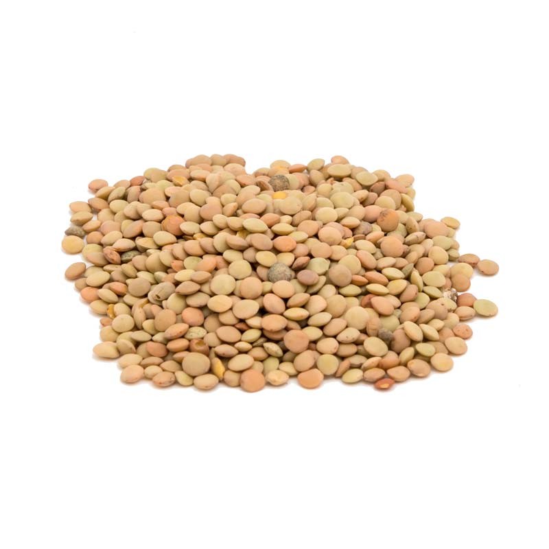 Lenticchie Piccole